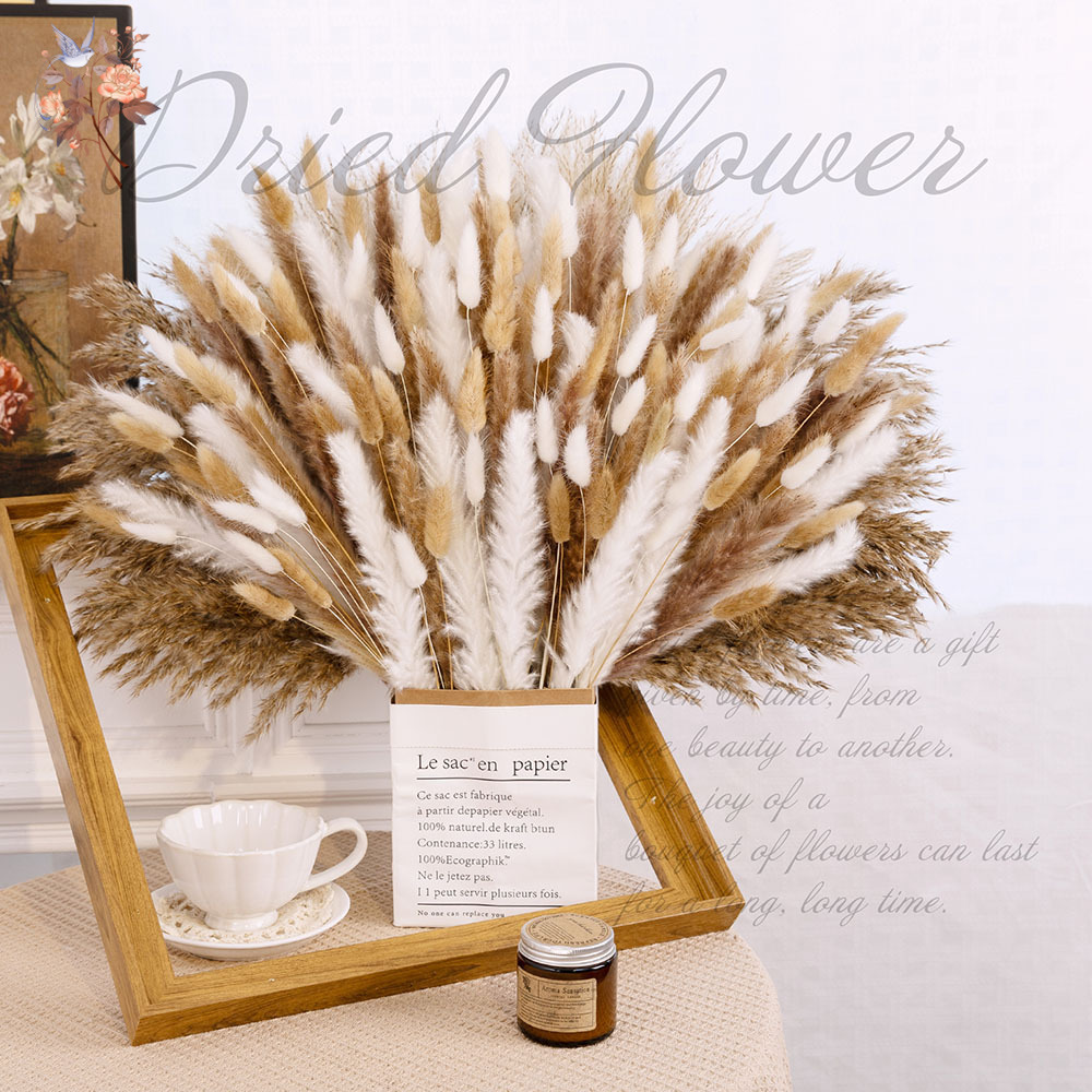 320PCS Mixed Fluffy Large Pamp - Pampas Grass Decor ulasan dan harga