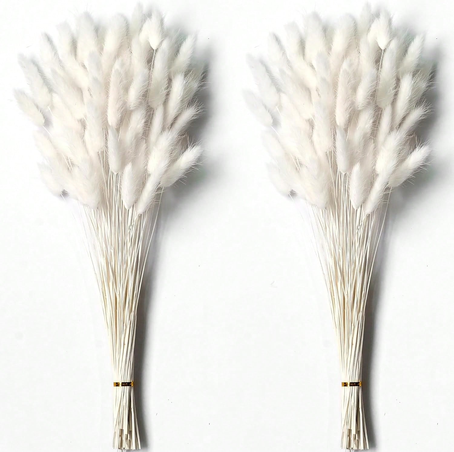 120 PCS Dried Pampas Grass Dec - Pampas Grass Decor ulasan dan harga